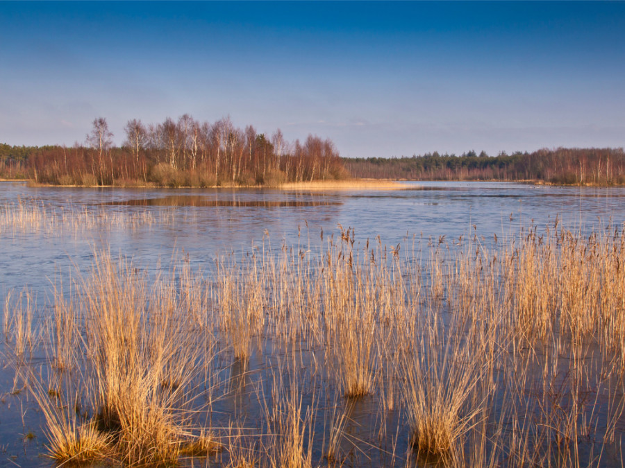 Wandelroute Drents Friese Wold