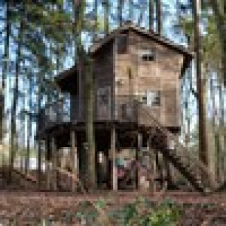 Afbeelding voor Drouwenerzand - Boomhut
