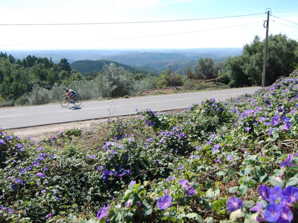 Fietsen in de Algarve