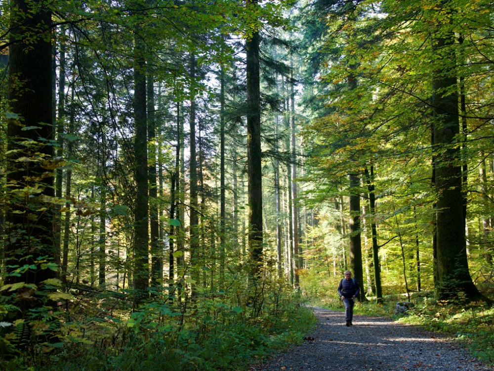 Risnjak nationaal park