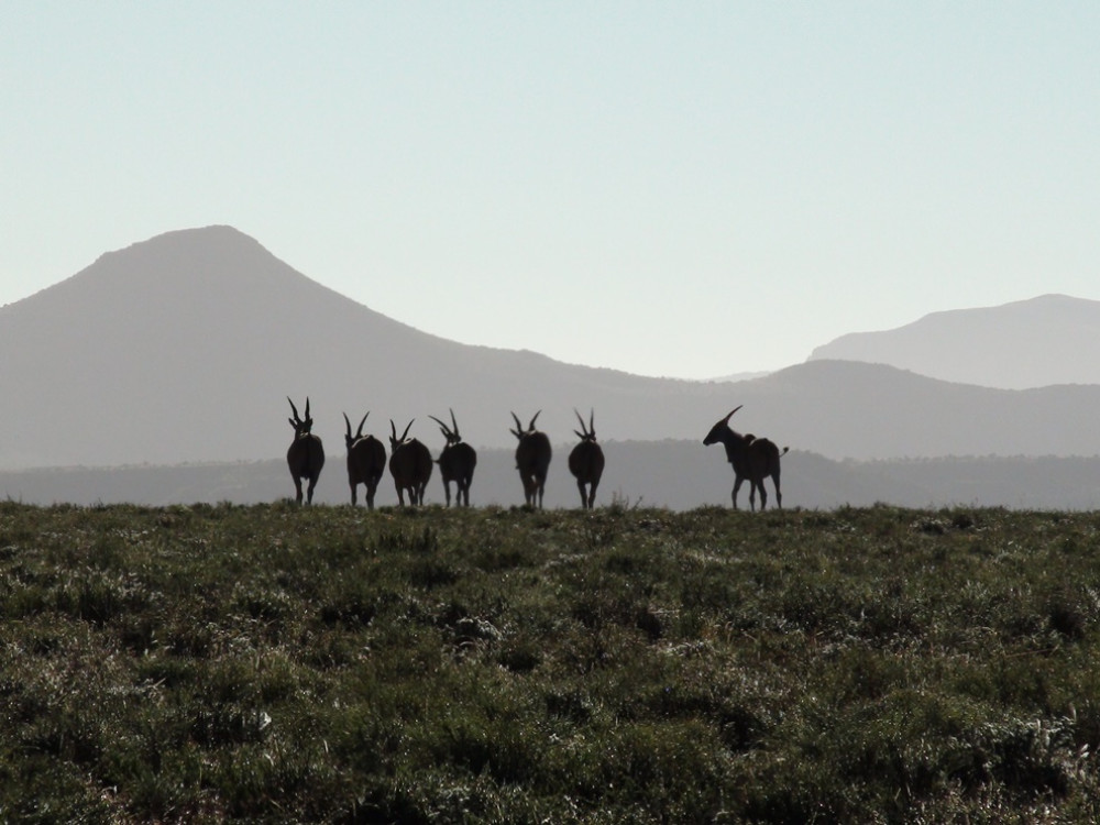 Graaff-Reinet - Camdeboo