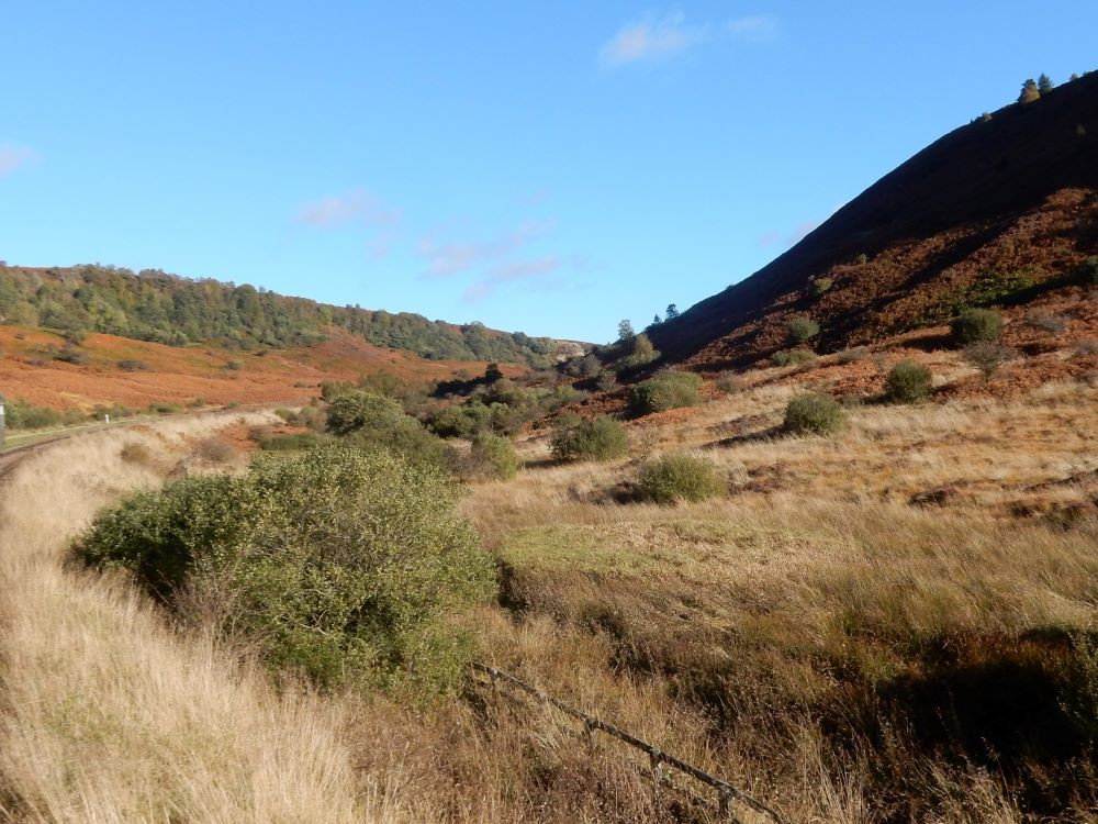 North York Moors