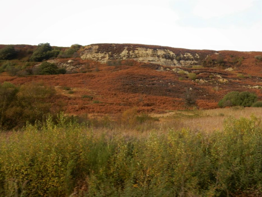The North York Moors The North York Moors