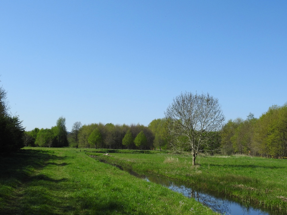 Natuur bij Utrecht