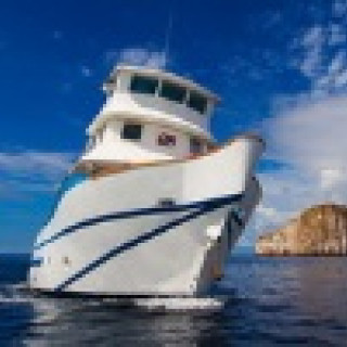 Afbeelding voor Ander Licht Reizen – Galapagos cruises