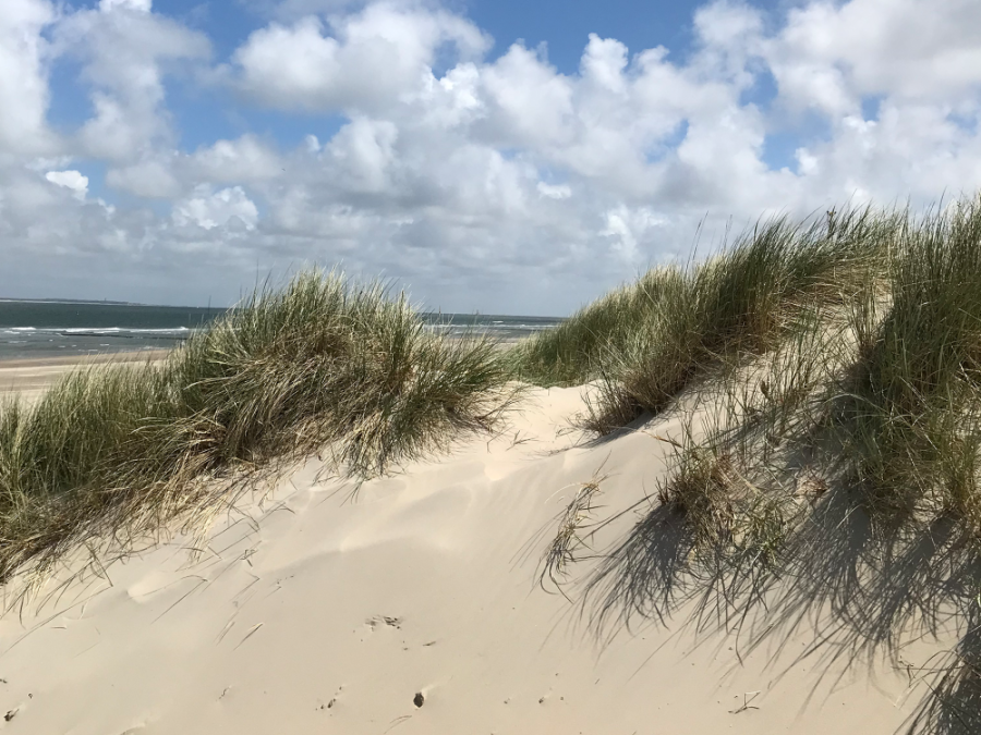 Duin en zee doorkijkje Duin en zee doorkijkje