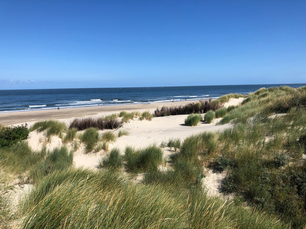 Strand Borkum