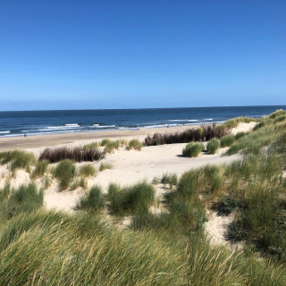 Afbeelding voor Duitse Waddeneilanden