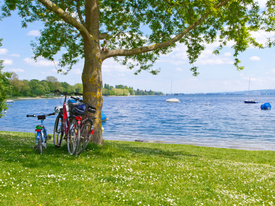 Fietsen langs de Bodensee