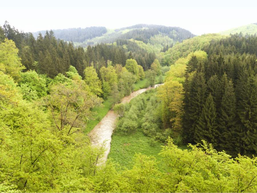 Mooiste wandelroutes Eifel