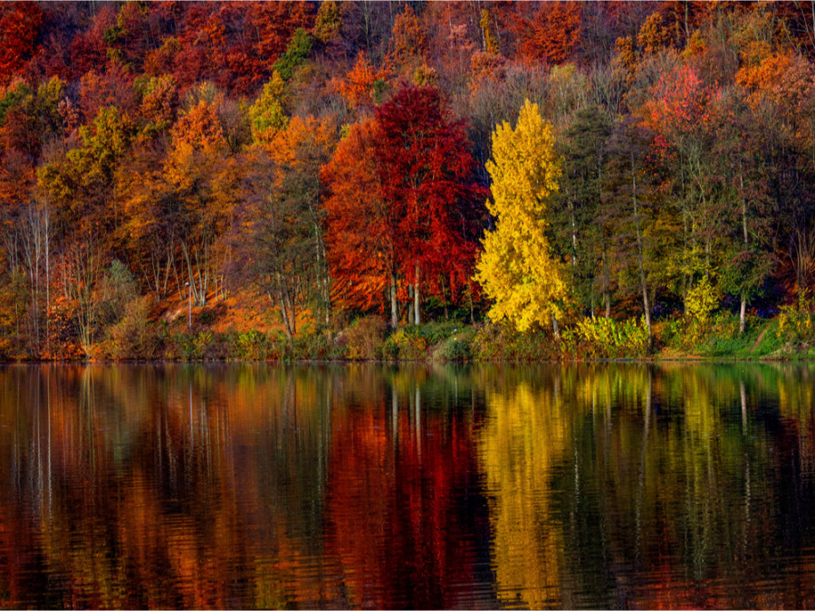 Sauerland in de herfst