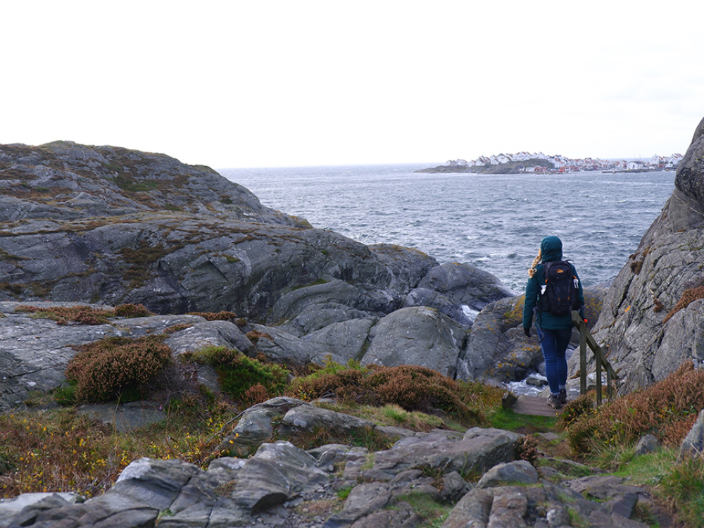 Het eiland Dyrön