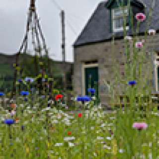 Afbeelding voor Natuurhuisje - Eco huisje in de Highlands