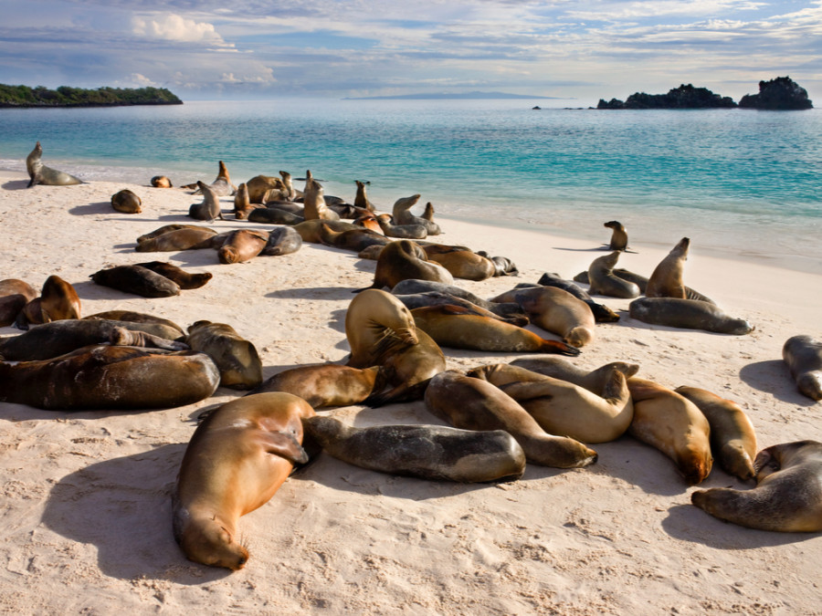 Mooiste eilanden Galapagos