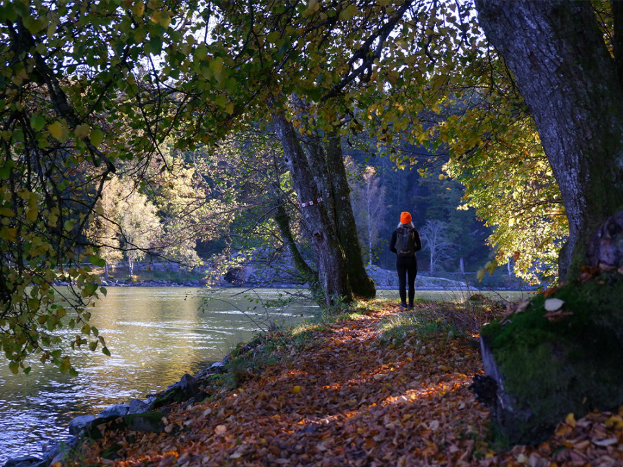 Wandelen in West-Zweden