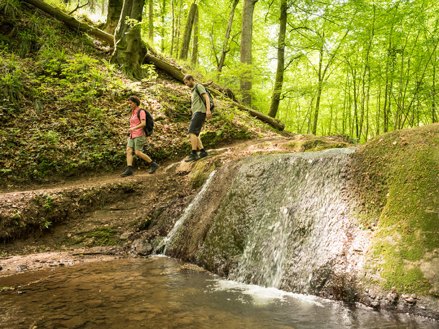 Eifelsteig wandelen