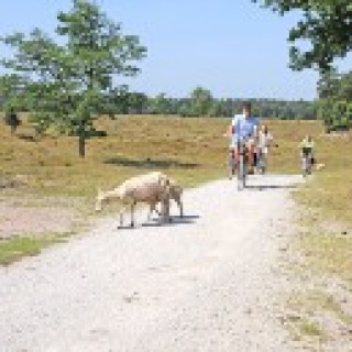 Afbeelding voor Eigen-wijze Reizen - Fietsvakantie Drenthe culinair