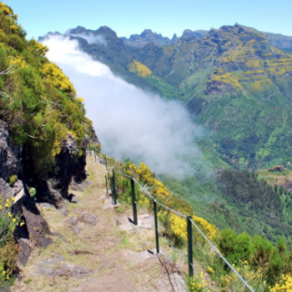 Afbeelding voor Eigen-Wijze Reizen - Wandelvakantie Madeira