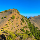 Afbeelding voor El Hierro