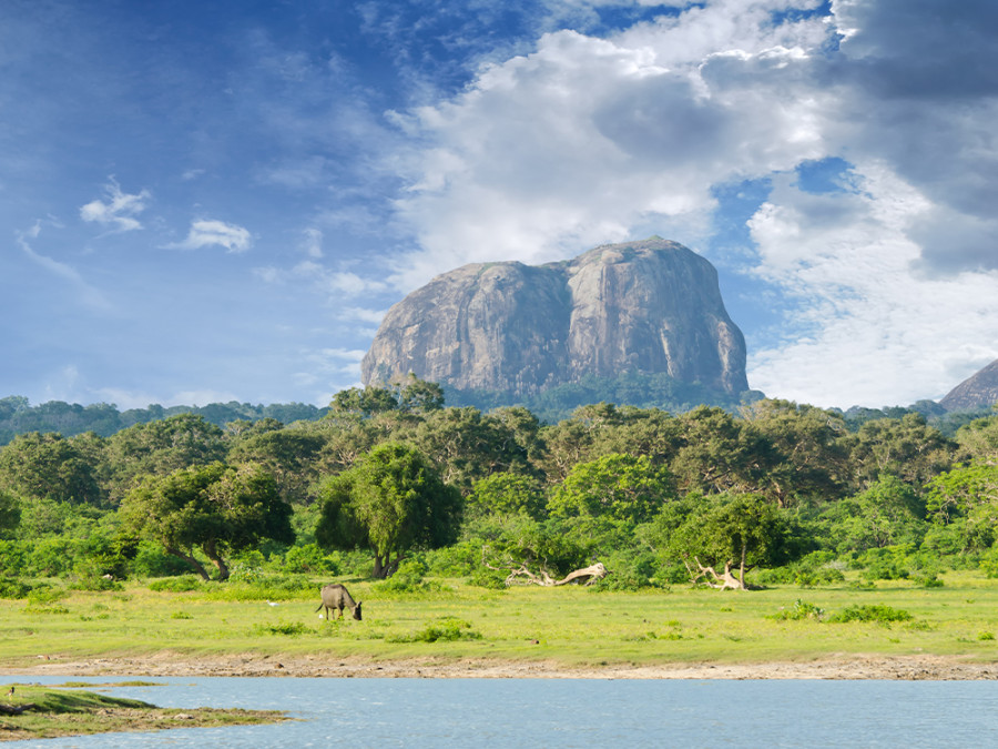 Natuur in Yala