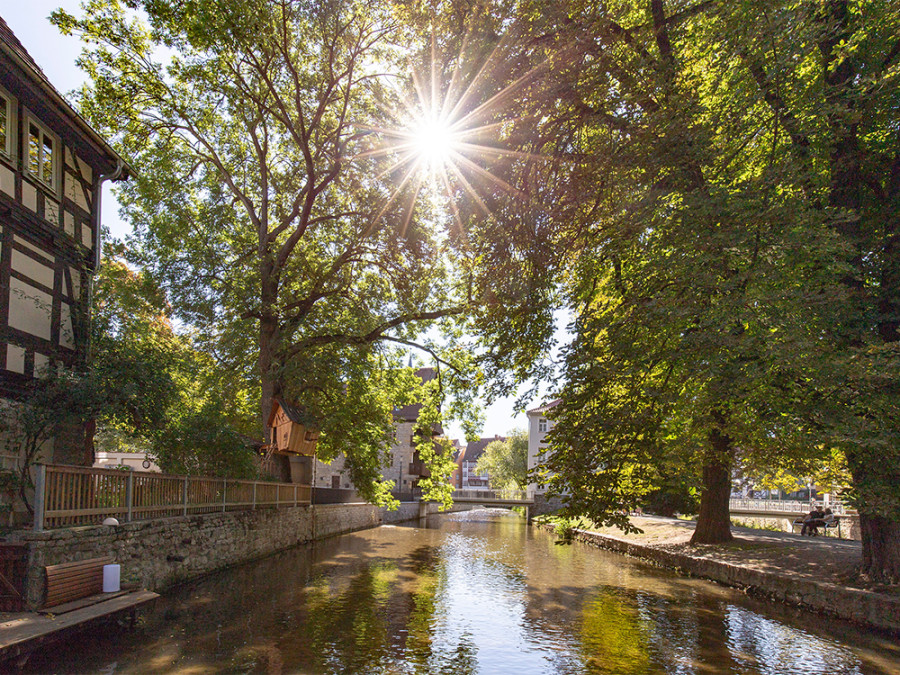 Natuur in Erfurt