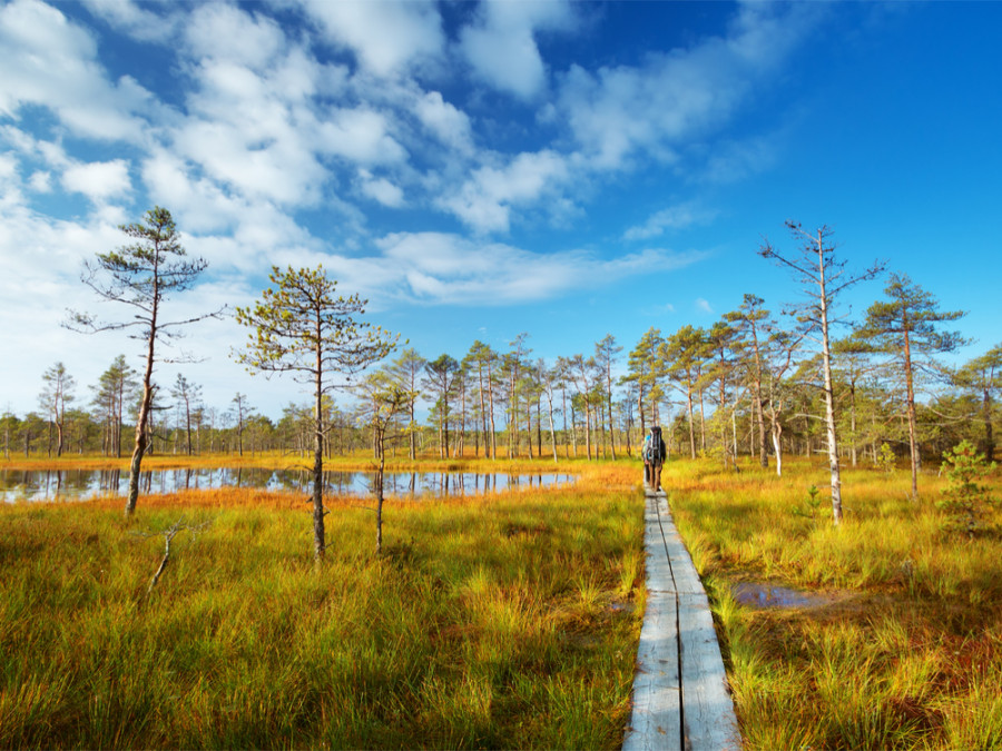 Nationale parken Estland