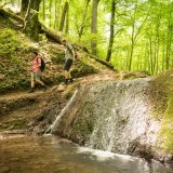 Afbeelding voor Nationale parken in Duitsland