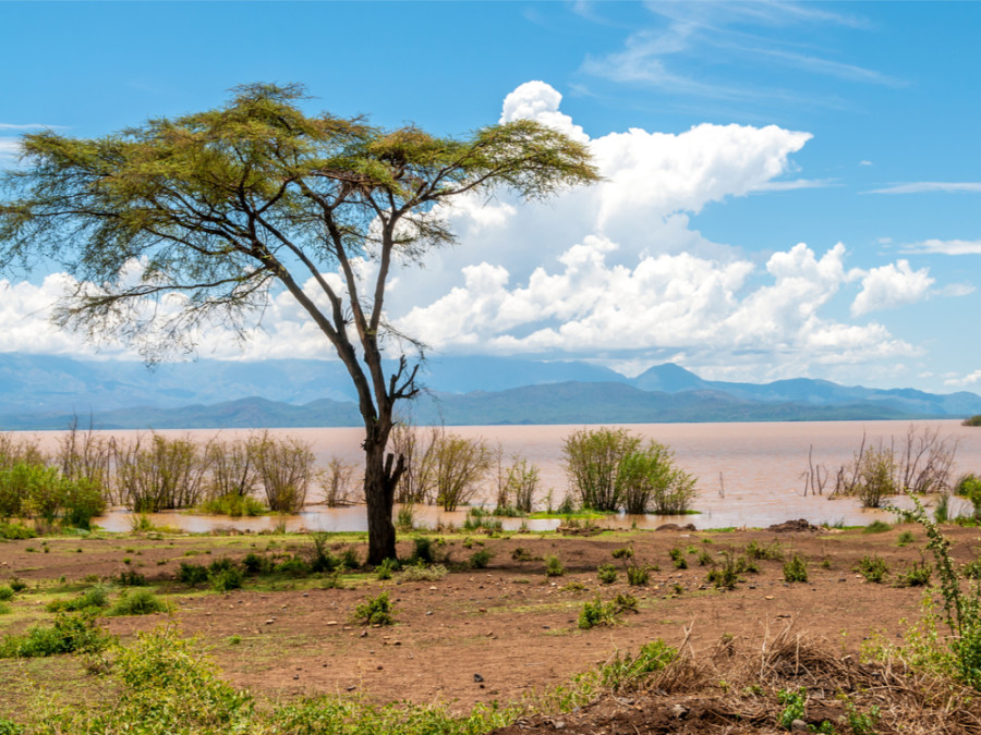 Natuur in Ethiopie