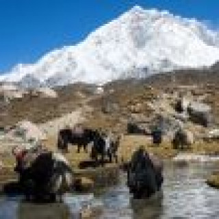 Afbeelding voor Better Places - Everest Base Camp trek