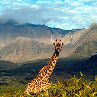 Afbeelding voor Explore Tanzania - Arusha National Park