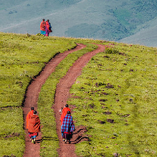 Afbeelding voor Explore Tanzania -  Individuele reis op maat