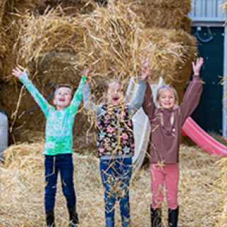 Afbeelding voor FarmCamps - De Bonte Fries