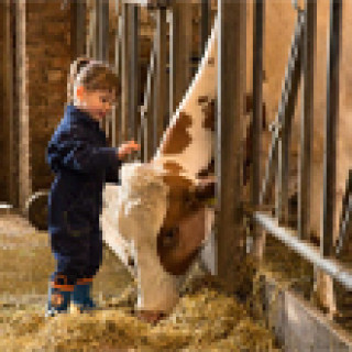 Afbeelding voor Farmcamps - Logeren bij de boer