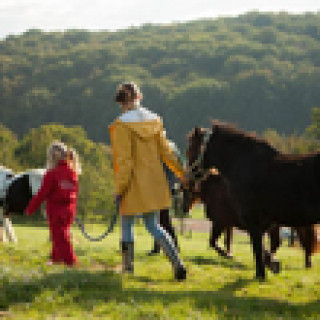 Afbeelding voor Farmcamps - Vakantie op de boerderij Limburg