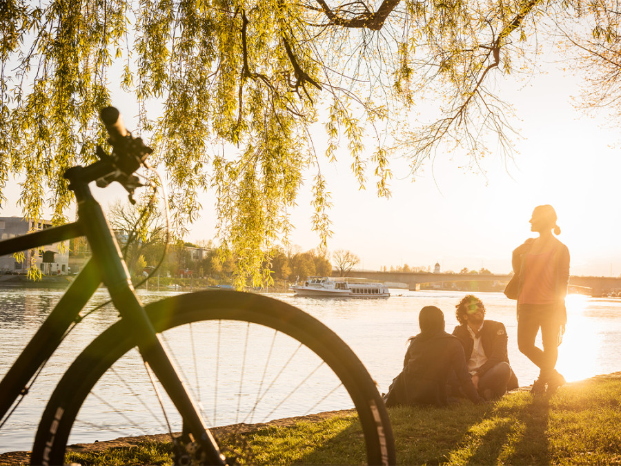 Fietsen bij de Bodensee