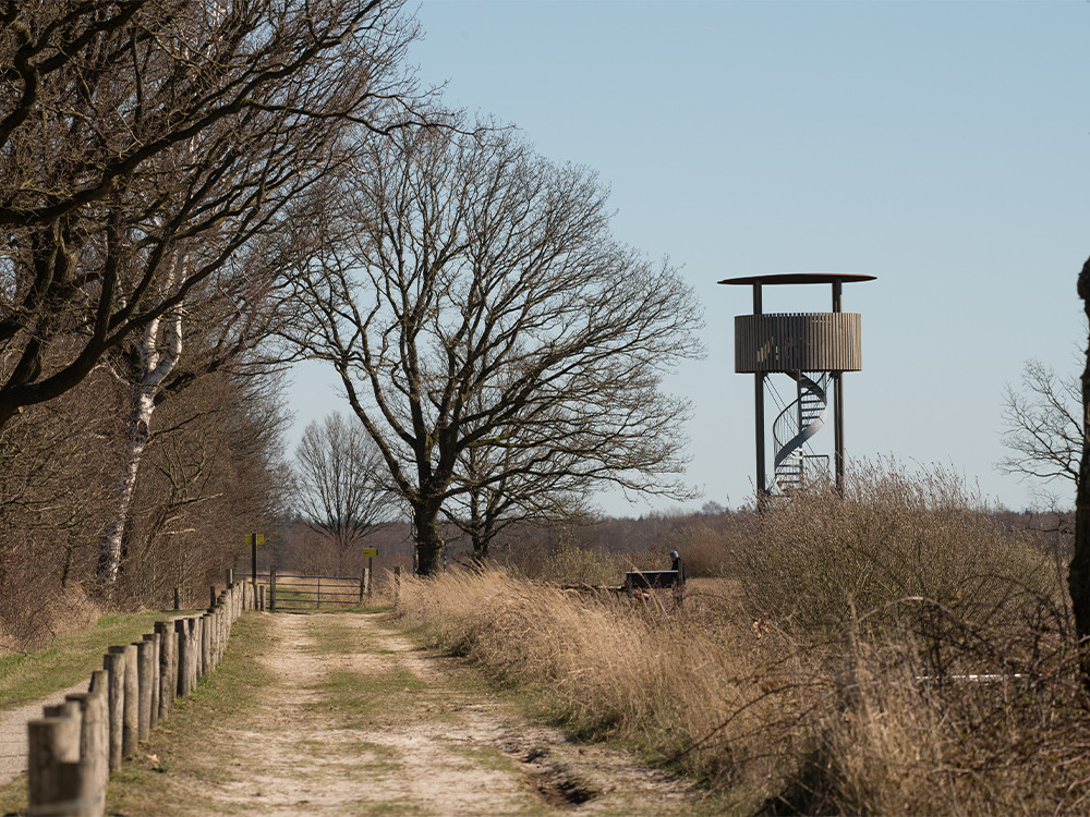 Fietsen en vogels spotten in Fochtelooerveen