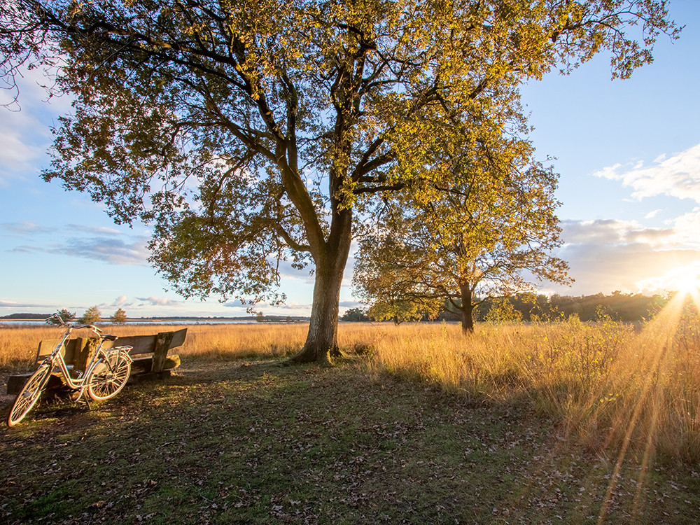 Fietsen in Drenthe