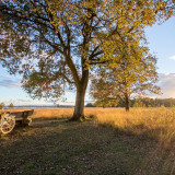 Afbeelding voor Fietsen in Drenthe