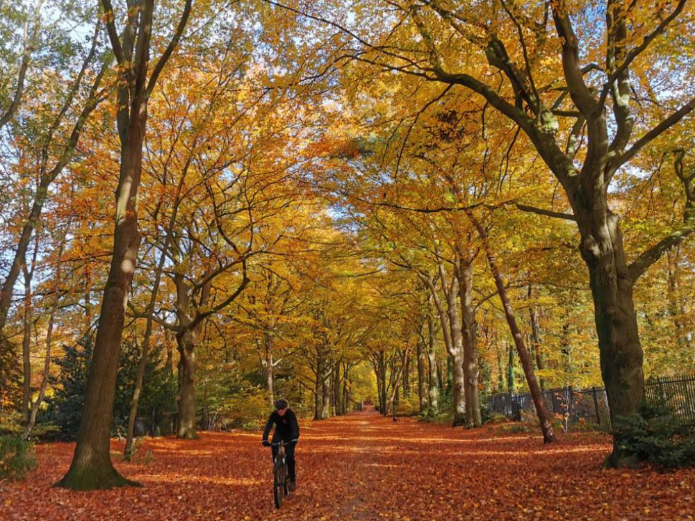 Fietsen bij Ede