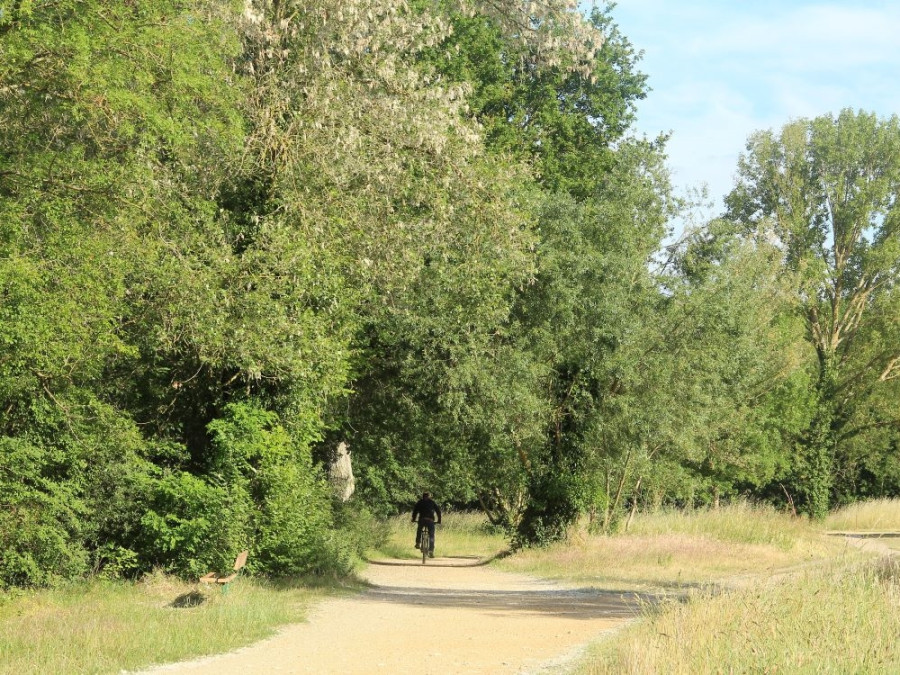 Fietsen bij Angers