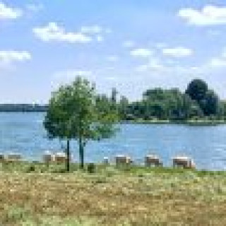 Afbeelding voor Eye4Cycling - Grand Tour Hoge Veluwe