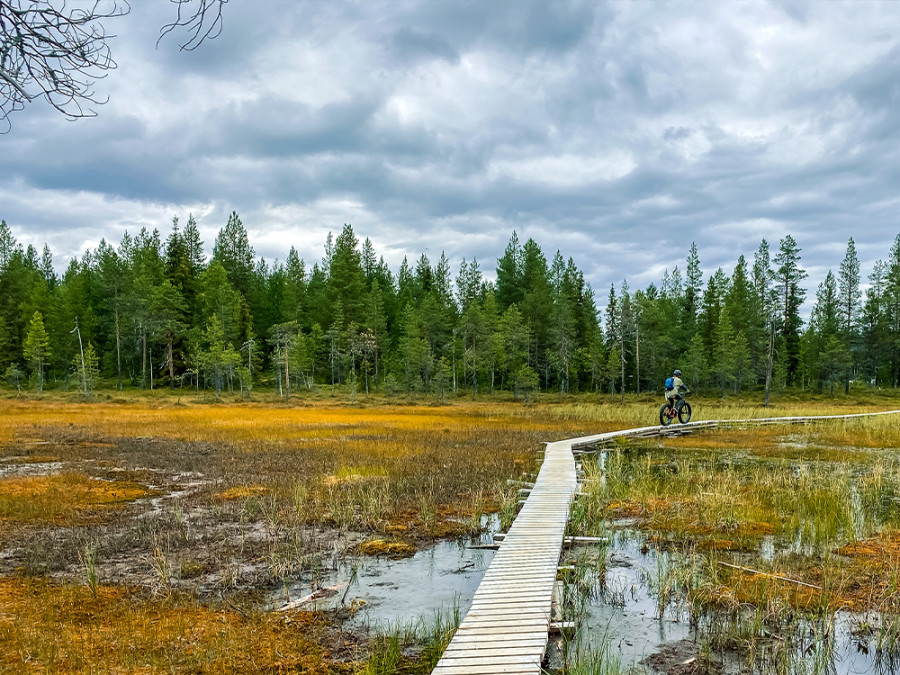 Mountainbiken in Salla