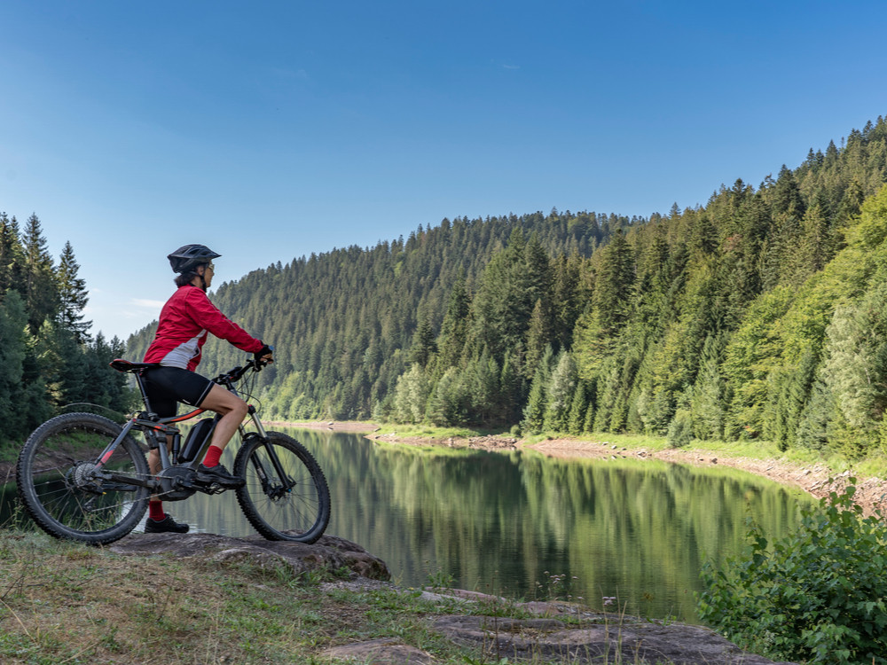 Fietsen in het Zwarte Woud