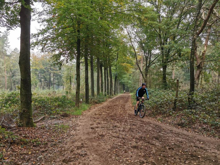 Fietsen bij Ede