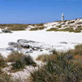 Afbeelding voor Askja Reizen - Rottnest op de fiets