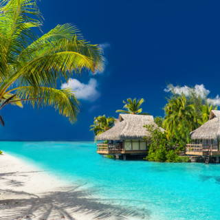 Afbeelding voor Fiji eilanden