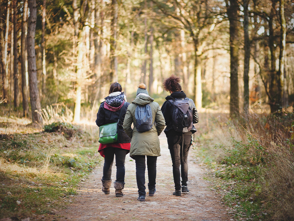 Winterwandeling