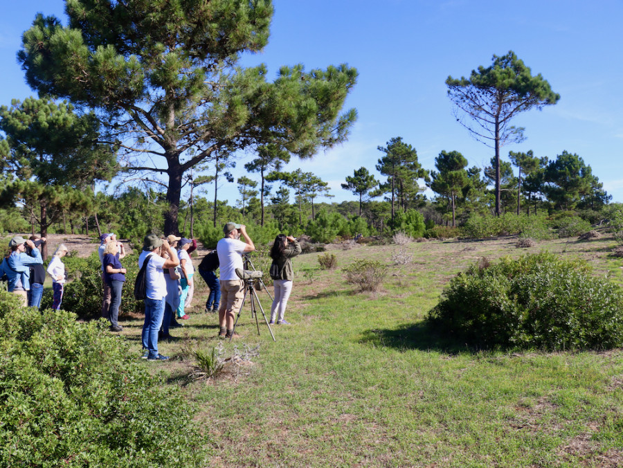 Monte de Cabranosa