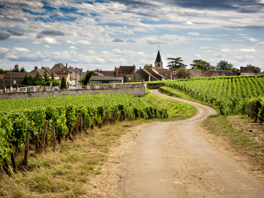 Bourgogne en Loirestreek