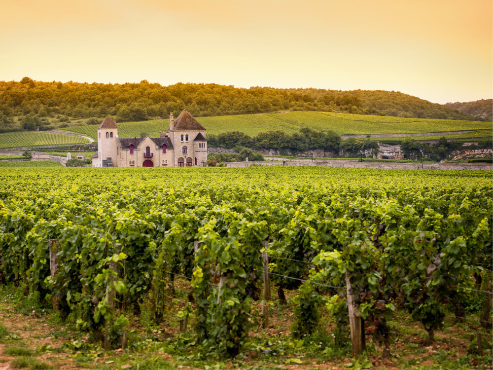 Bourgogne in Frankrijk
